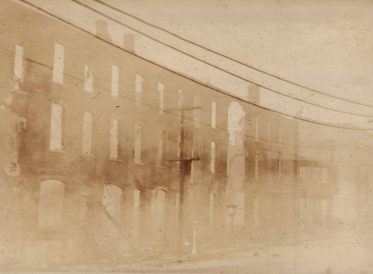 article image - cel4